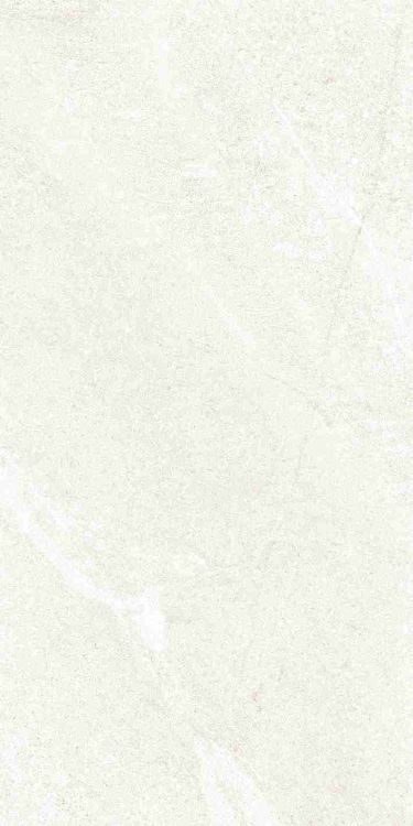 Dhara White Matte 12 x 24